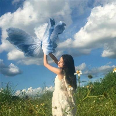 小美男鱼